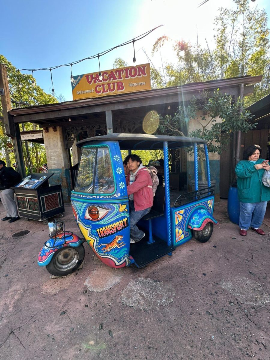 FUN VACAY DAY: Nicolas Gonzalez  is sitting in a tuk tuk at Animal Kingdom in Disney World. “I liked how the tuk tuk looked, so I took a photo in it,” he said.