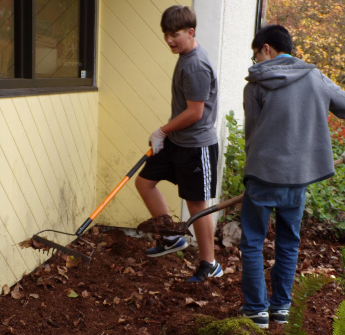 MAKE WAY!
Benjamin Scott and Alex Yao dig up dead roots outside the office door to free up room for brand new perennials to grow. The boys worked hard to dig up all of those roots. “I was digging up roots and cleaning up the mess!” Ben beamed.