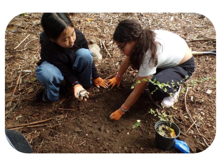 Sixth Graders go on field trips investigating plant species