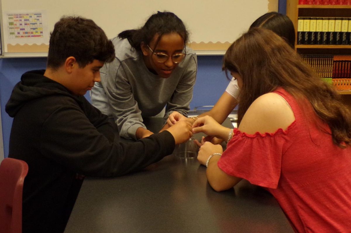 FWPA Electives